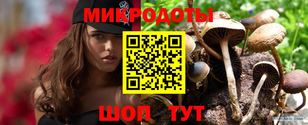 Галлюциногенные грибы Psilocybe  Вход с VPN  Сызрань  где найти наркотики  Псилоцибиновые грибы Psilocybe 