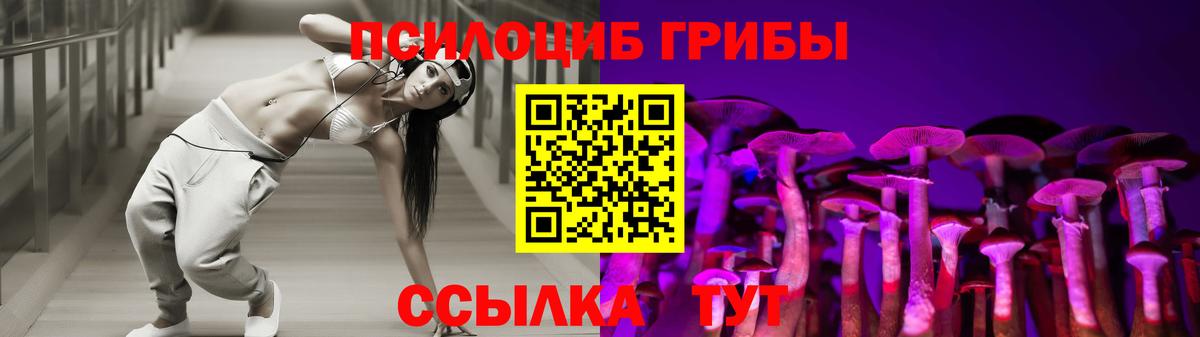Псилоцибиновые грибы мицелий Сызрань